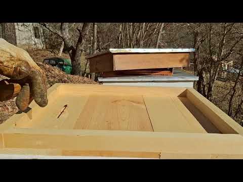 Видео: Преглед на хранителните запаси 25.1.2025