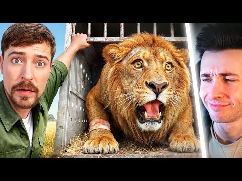 Видео: ХЕСУС СМОТРИТ: Я Спас 1000 Животных От Гибели | МИСТЕР БИСТ