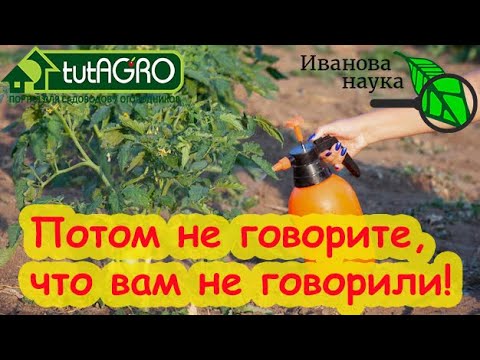 Видео: ЗА 1 РУБЛЬ ОБРАБОТАЛ УЧАСТОК 25 СОТОК и БОЛЕЗНЕЙ НЕТ, фитофторы и кладоспориоза нет, виноград чистый
