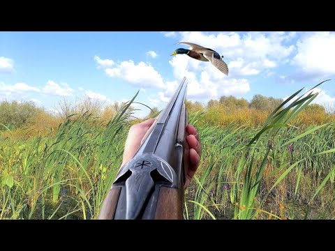 Видео: ТАКОГО Я НЕ ОЖИДАЛ! ТАК БЛИЗКО ЕЩЕ НЕ СКРАДЫВАЛСЯ! Охота на утку с подхода! ВЫСТРЕЛ И УТКИ В МЕШКЕ!