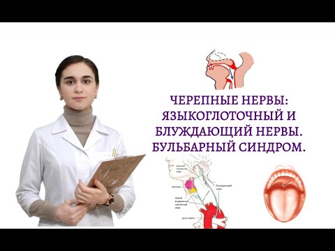 Видео: Черепные нервы: языкоглоточный (IX) и блуждающий (X). Бульбарный и псевдобульбарный синдромы.