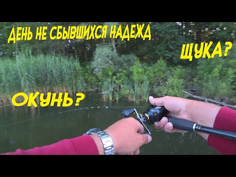 Видео: Крупный окунь на вибы (ратлины), как ловить крупного окуня летом