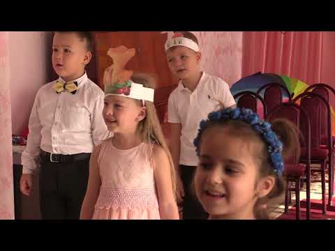 Видео: осень