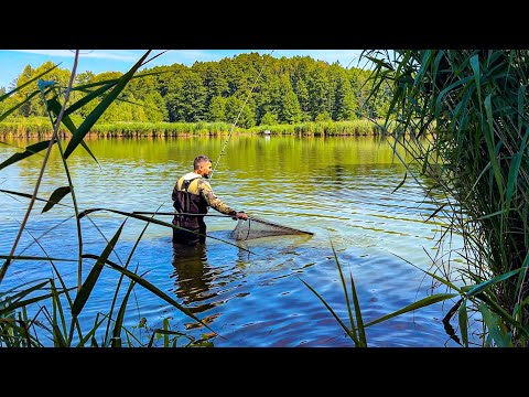 Видео: Стільки Коропа я ще не бачив.