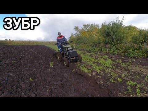 Видео: Осіння оранка мототрактором Зубр в період дощів 🙄😮‍💨🚜