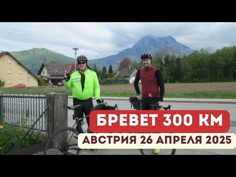 Видео: 17 мая 2025 г.