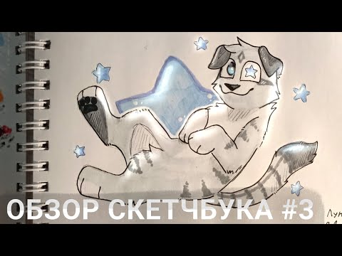 Видео: ОБЗОР СКЕТЧБУКА #3 /Коты-воители/трейды/заказы/