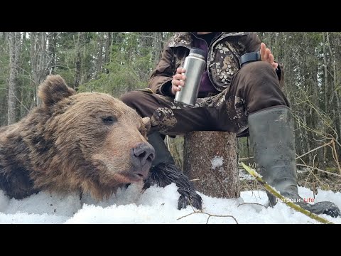 Видео: МЕДВЕЖИЙ УГОЛ