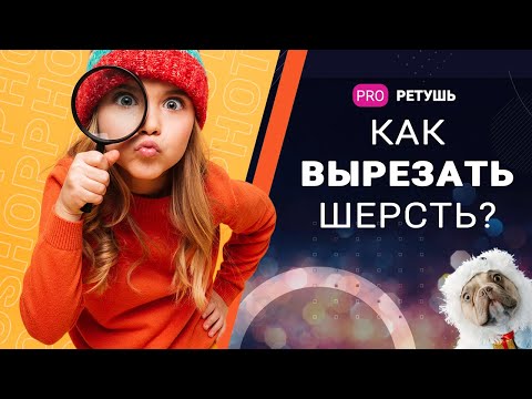Видео: Как вырезать шерсть/волосы в photoshop?