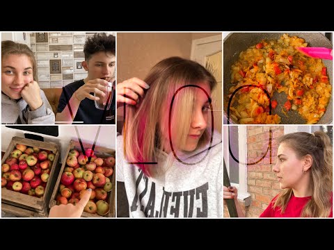Видео: VLOG: Приехали ко мне домой || Постриглась и покрасила волосы || Готовлю кушать