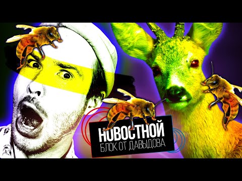 Видео: ЗОМБИ-КОСУЛИ? || ПЧЁЛЫ-МАТЕМАТИКИ? || Экоактивисты на заводе Volkswagen