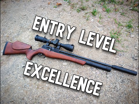 Видео: Pinty .22 PCP — любители оружия, пора переходить на PCP