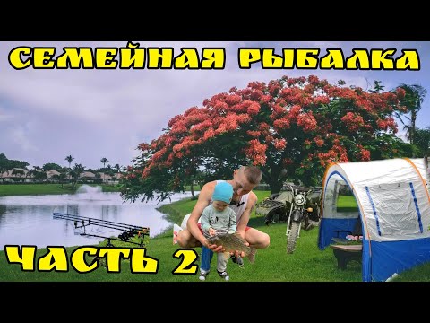 Видео: КАК ПОЙМАТЬ БОЛЬШОГО КАРАСЯ.Семьей с палатками.Отдых на берегу с палатками.Трофейный карась.