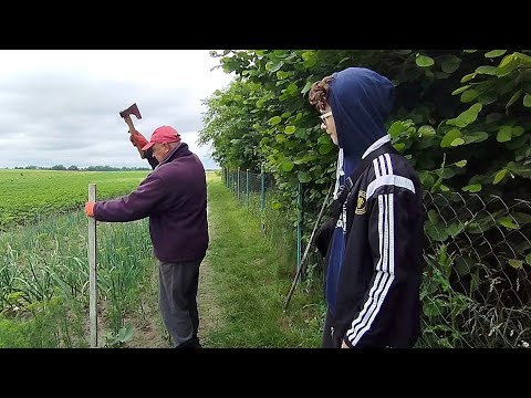 Видео: Працьовиті будні на дачі. Поїздка в сусіднє село