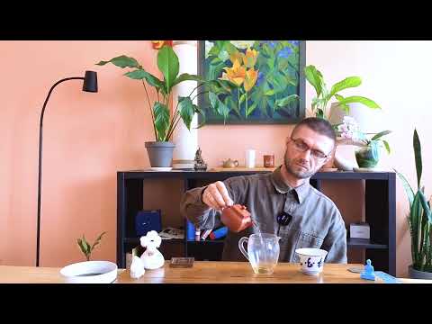 Видео: Видео под чай 08.09.25. Завариваем шэн Ибанг цяо му в чайнике Сы Фан