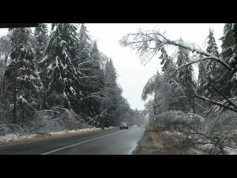 Видео: Давайте вернёмся