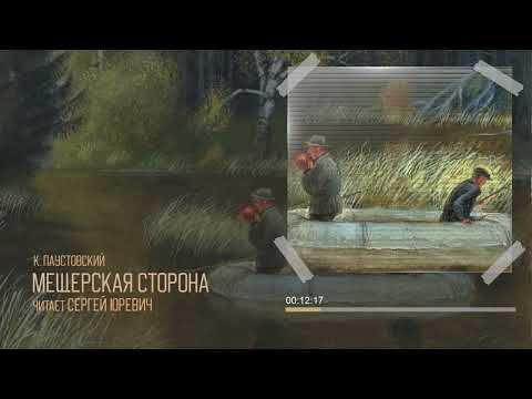 Видео: К. Г. Паустовский — Мещерская сторона | Читает С. Юревич | Аудиорассказ