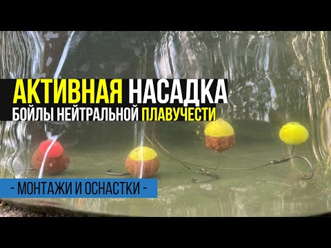 Видео: АКТИВНАЯ НАСАДКА НА КАРПА! РЫБАЛКА НА БОЙЛЫ НЕЙТРАЛЬНОЙ ПЛАВУЧЕСТИ.