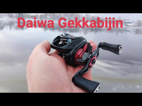 Видео: Daiwa Gekkabijin обзор