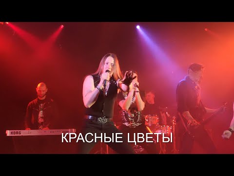 Видео: Ангел Хранитель - Красные цветы (20.02.2021)