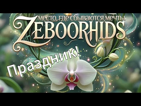 Видео: Новый Магазин ZEBOORHIDS! День Рождения и Большой Праздник Орхидей.