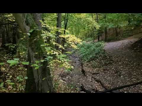 Видео: НАСТУПИЛ ОКТЯБРЬ