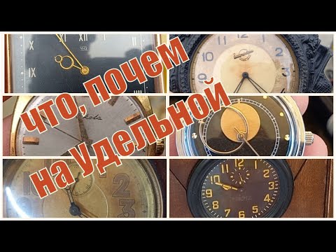 Видео: Что, почем на Удельной. Санкт-Петербург