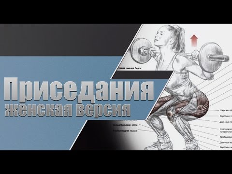 Видео: Приседания. Женская версия