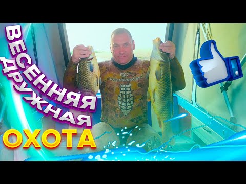 Видео: ПОДВОДНАЯ ОХОТА НА САЗАНА ВЕСНА 2023г Часть 2