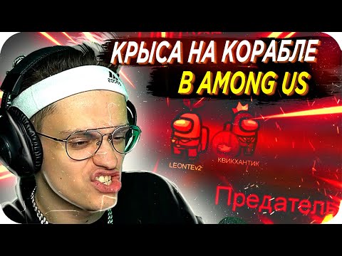 Видео: БУСТЕР ИГРАЕТ ЗА ПРЕДАТЕЛЯ / БУСТЕР ИГРАЕТ В АМОНГ АС / БУСТЕР ИГРАЕТ В AMONG US / BUSTER REWIND