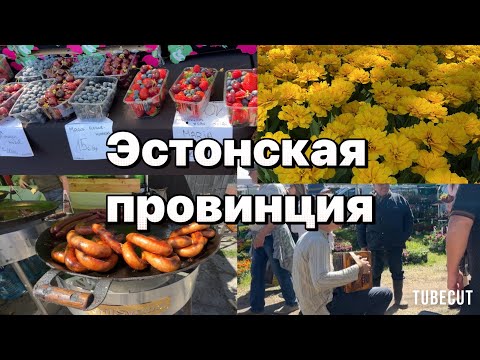 Видео: ЯРМАРКА В ТЮРИ И ЦВЕТУЩИЕ ТЮЛЬПАНЫ МЫЗЫ КИРНА #таещекулинарка