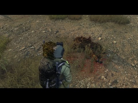 Видео: DayZ Good Day - Противостояние.