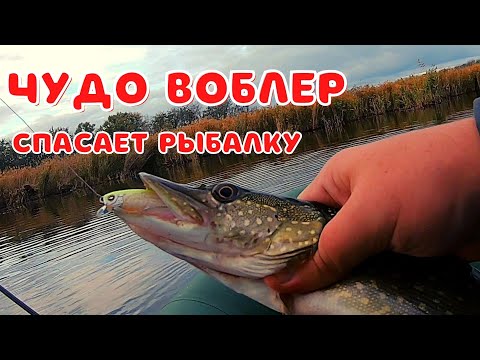 Видео: Daiwa X-Cross лучший мелководный воблер.Твичинг.