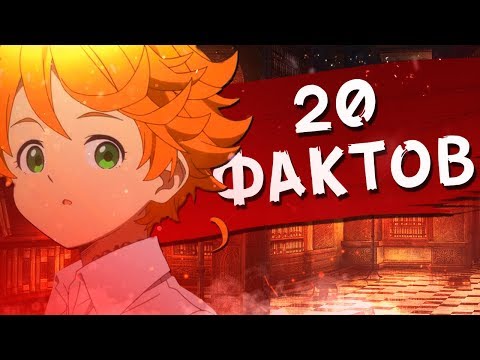 Видео: 20 Фактов о «Обещанный Неверленд», которые вы могли не знать | Аниме