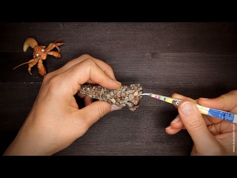 Видео: Домик для ручейника