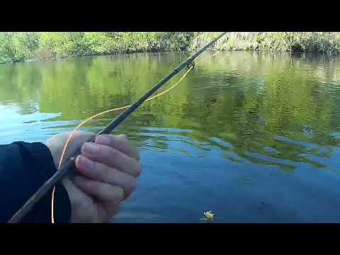 Видео: Нахлыст, тащимся