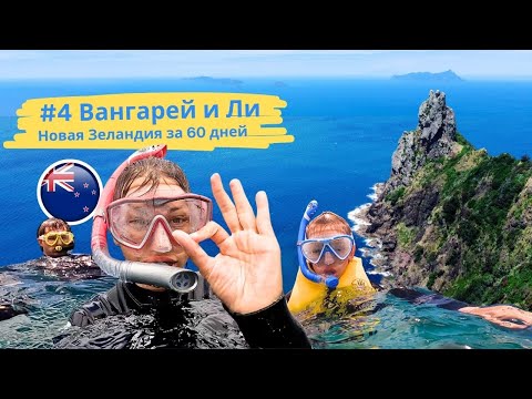 Видео: Новая Зеландия 4. Снорклинг в Заповеднике и Современное Искусство
