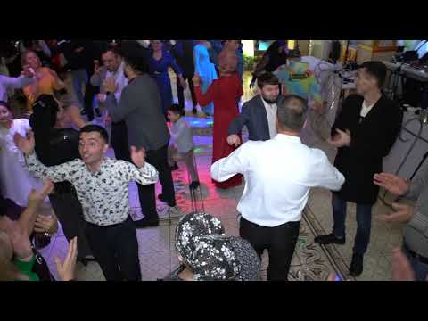 Видео: #питер #конибодом #туй #свадьба #tuy  Аюбчон Курбонов (Зажигает)