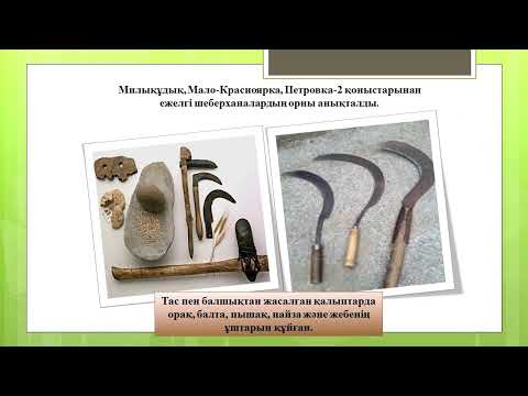 Видео: Қазақстан тарихынан ҰБТ- ға дайындық. 6 сабақ.Қола дәуірі