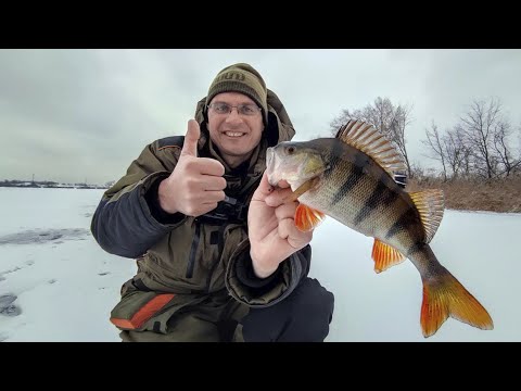 Видео: Два дня искал белую рыбу на гирлянду, а спасли Дядю Фёдора Безмотылка и Окунь!