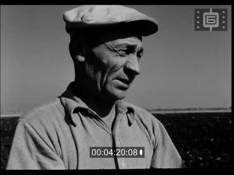 Видео: Седмичен кинопреглед No. 38 / Weekly Newsreel No. 38 (1954)