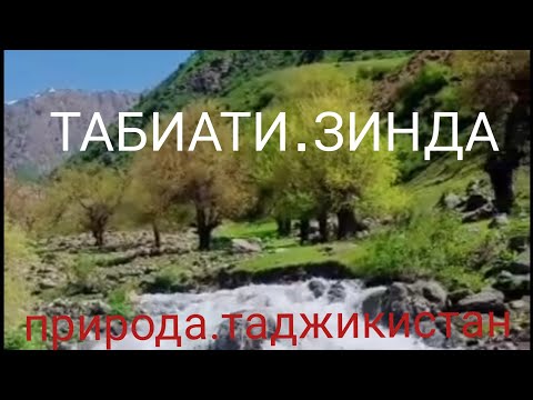 Видео: Табиати Зиндаи Нохияи Рашт. д.белги ва шахринав.5.май