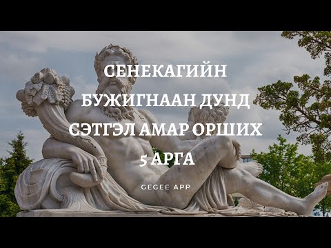 Видео: Сенекагийн бужигнаан дунд сэтгэл амар орших 5 арга