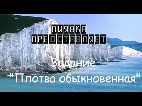 Видео: ПЛОТВА ОБЫКНОВЕННАЯ #MyFishingworld