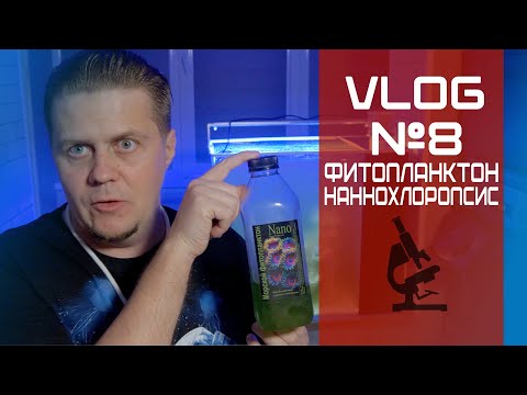 Видео: VLOG 8 Фито