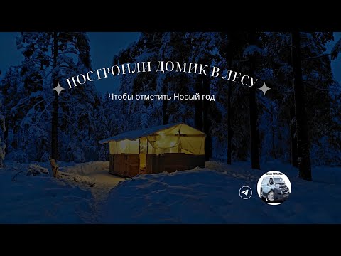 Видео: Построили дом в лесу за 6 дней/Отмечаем Новый год.