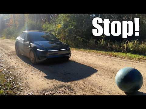 Видео: Сможет ли Tesla Self Driving V14 уклониться от столкновений с этими объектами?