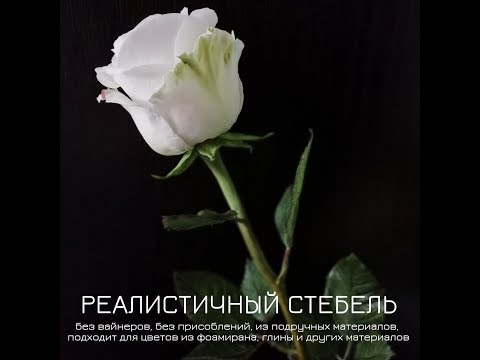 Видео: Реалистичный стебель  Часть 2. Вклейка листьев, тонировка.