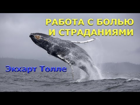 Видео: Работа с болью и страданиями [Э. Толле, озв.  Никошо]