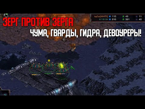 Видео: Старкрафт Z VS Z Чума против муты,   девоуреры против муты, гидра против гвардов!